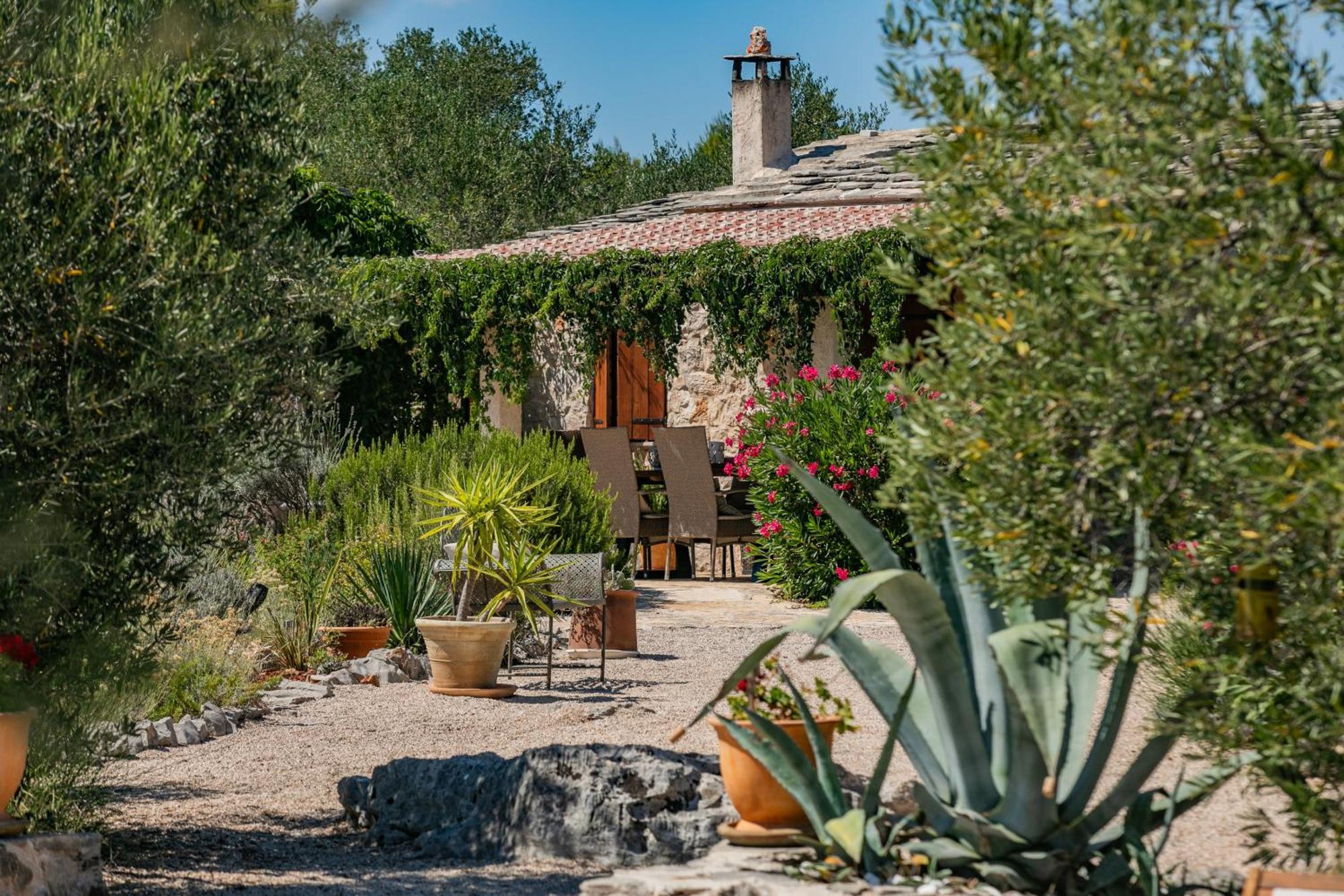 Villa Oxa Dreamland Stari Grad  Exterior foto