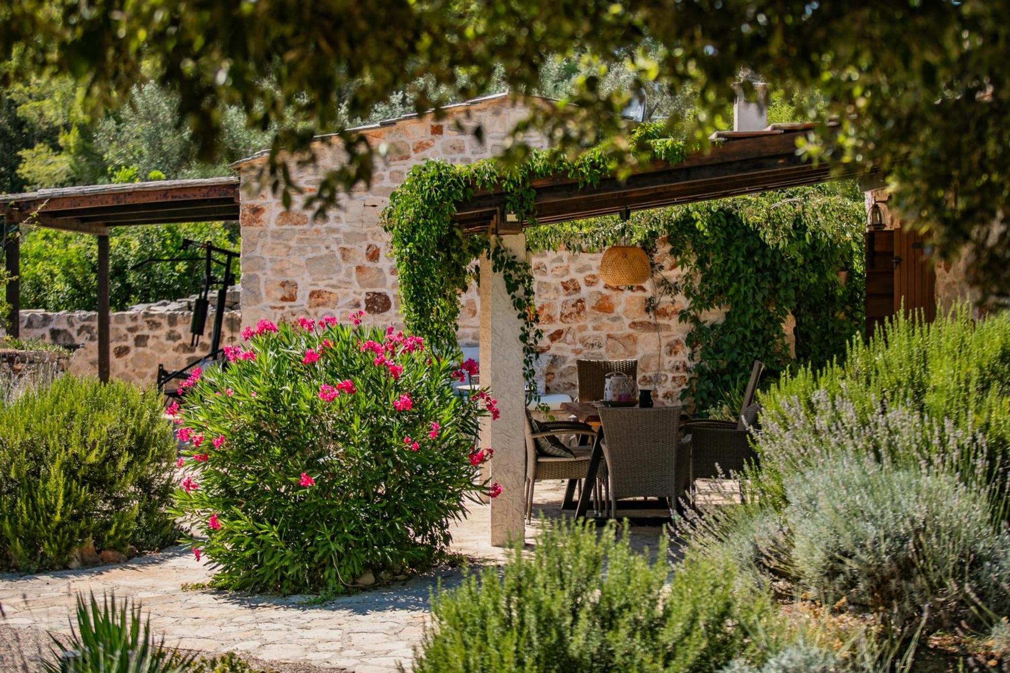 Villa Oxa Dreamland Stari Grad  Exterior foto